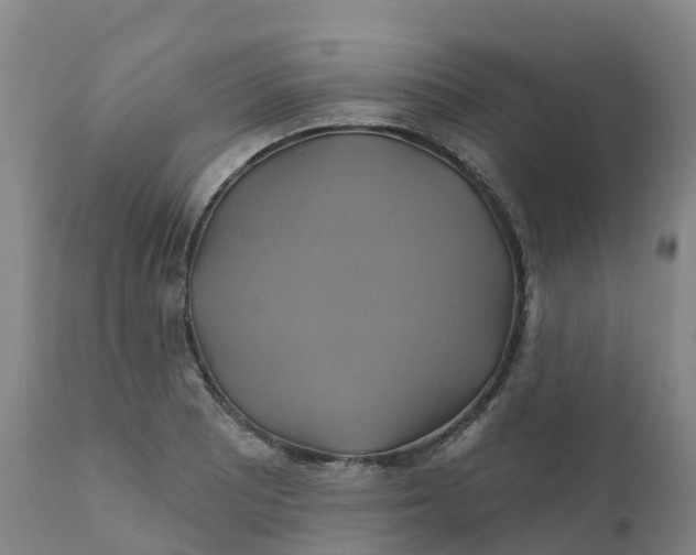 X0000111821081200908131517