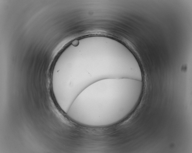 X0000111821082200908131517