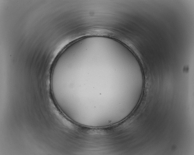 X0000111821083200908131517