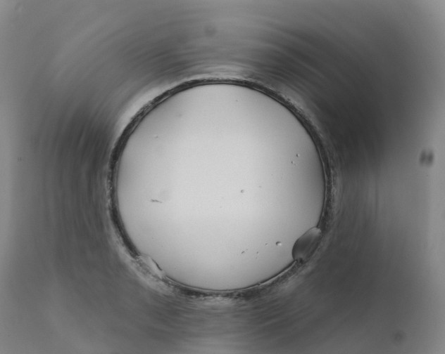 X0000111821085200908131517