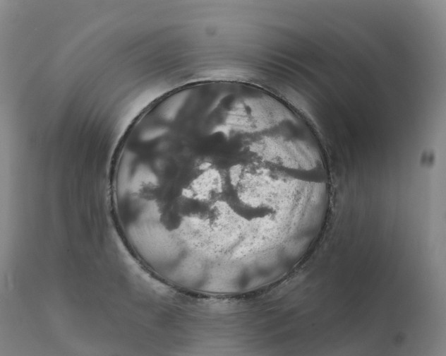 X0000111821087200908131517