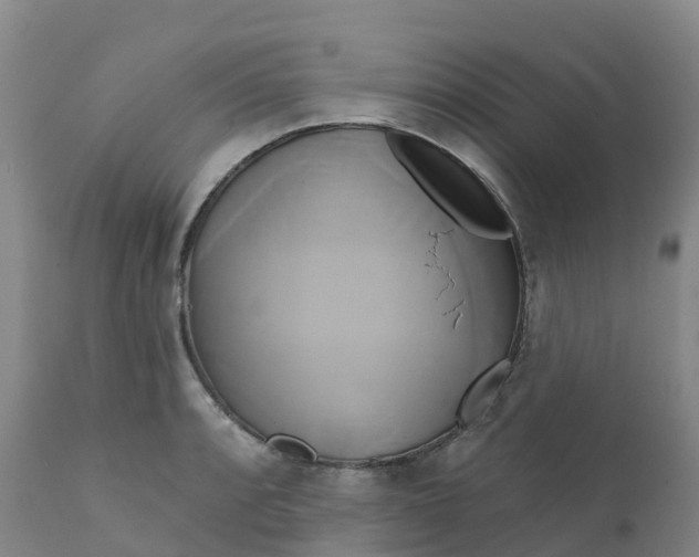 X0000111821088200908131517