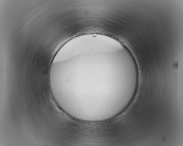 X0000111821089200908131517