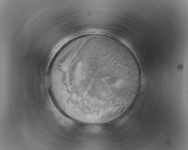 X0000111821090200908131517