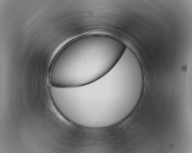 X0000111821092200908131517