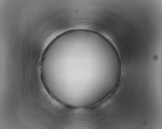 X0000111821093200908131517