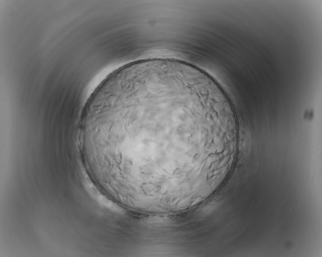 X0000111821094200908131517