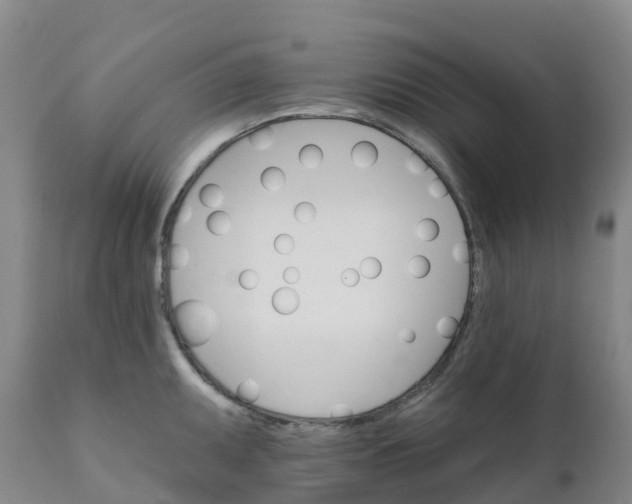 X0000111821095200908131517