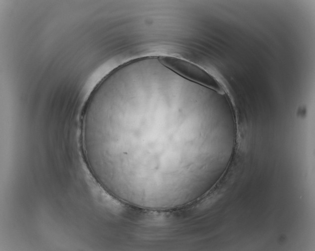 X0000111821096200908131517