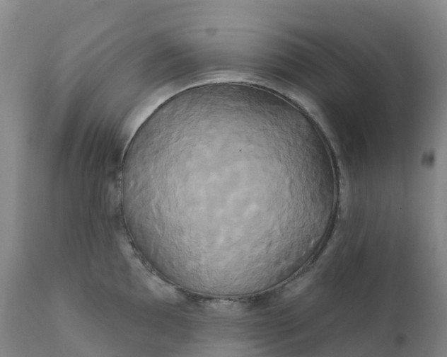 X0000111821097200908131517