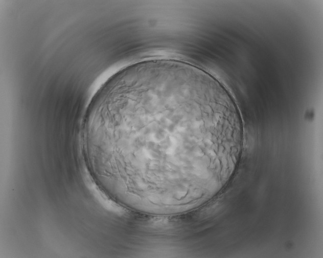 X0000111821098200908131517