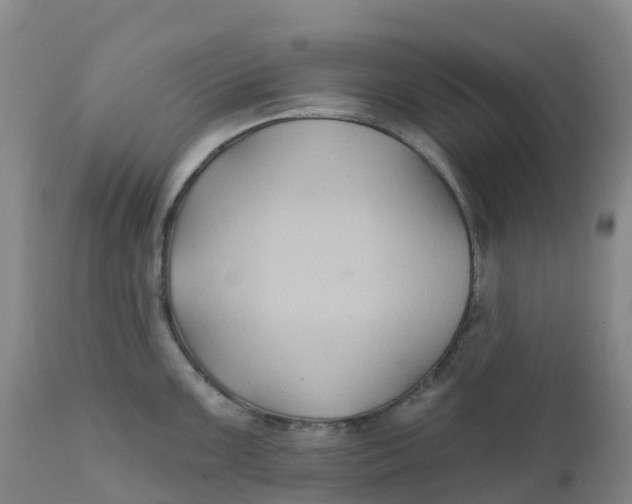 X0000111821099200908131517