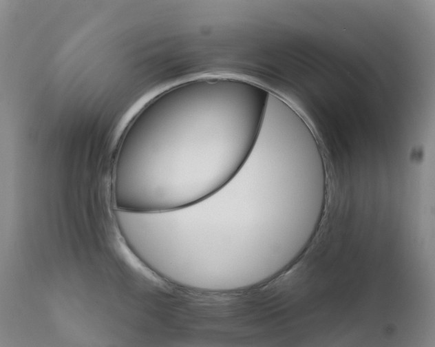 X0000111821100200908131517