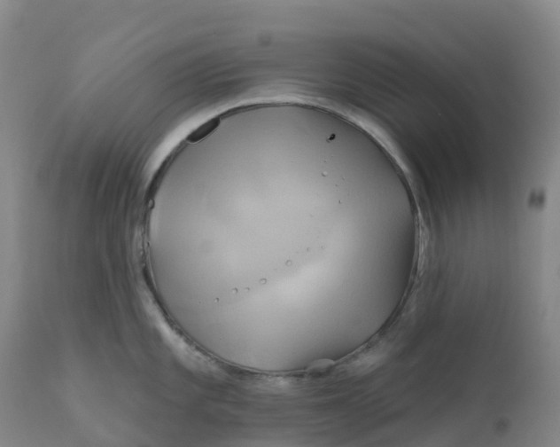 X0000111821101200908131517