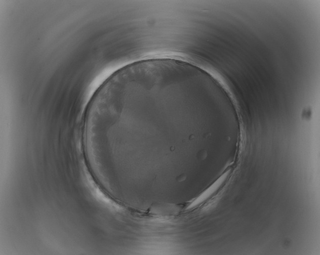 X0000111821102200908131517