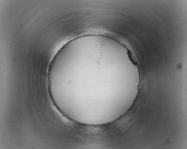 X0000111821103200908131517