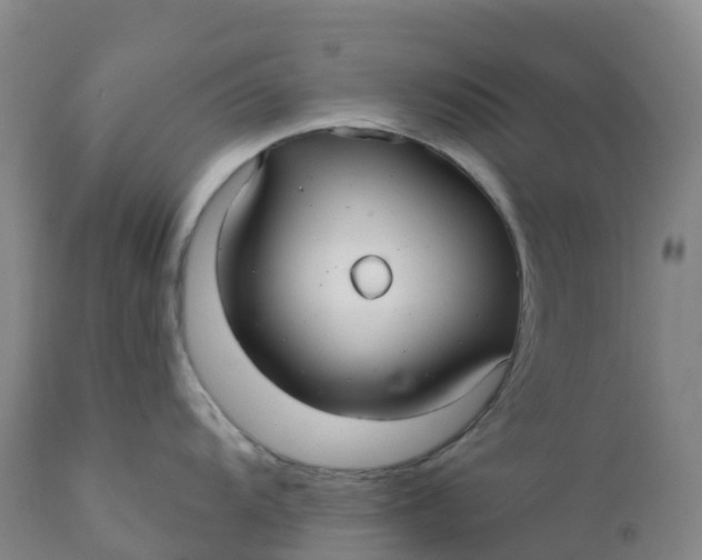 X0000111821104200908131517