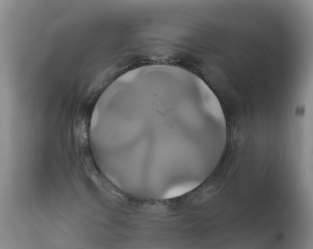 X0000111821106200908131516