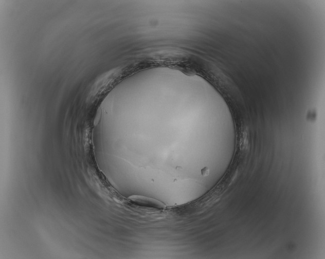 X0000111821108200908131516