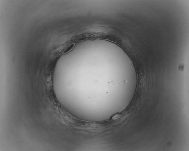 X0000111821109200908131516