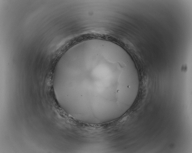 X0000111821110200908131516