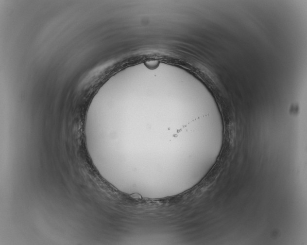 X0000111821111200908131516