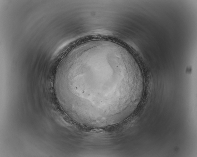 X0000111821112200908131516