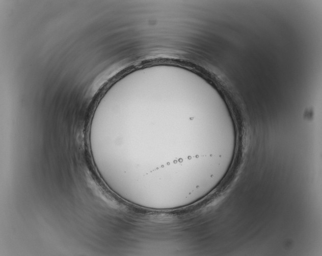 X0000111821113200908131516