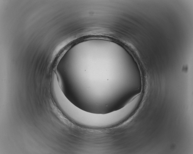 X0000111821114200908131516