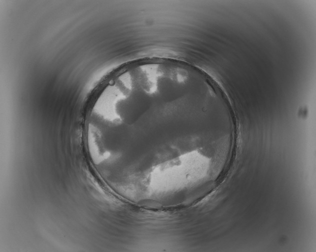 X0000111821115200908131516