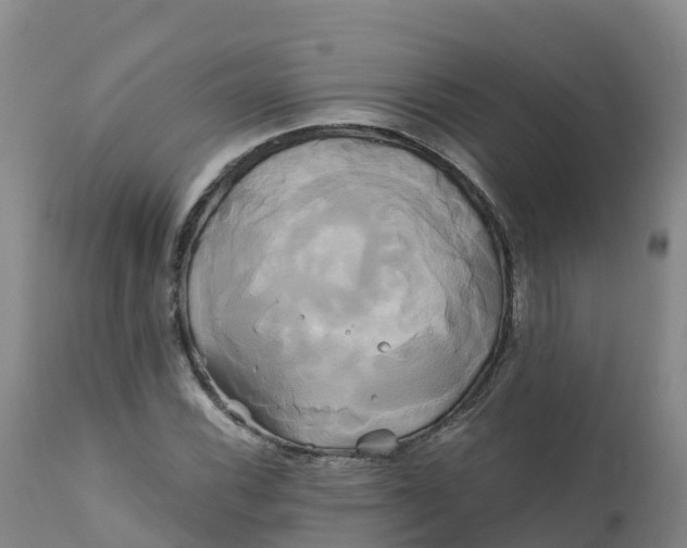 X0000111821116200908131516