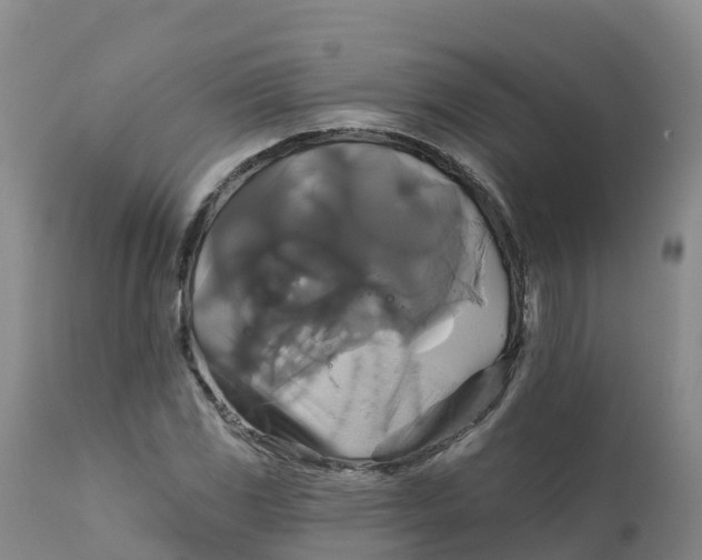 X0000111821117200908131516