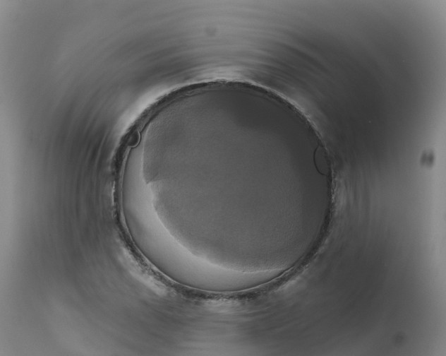 X0000111821118200908131516