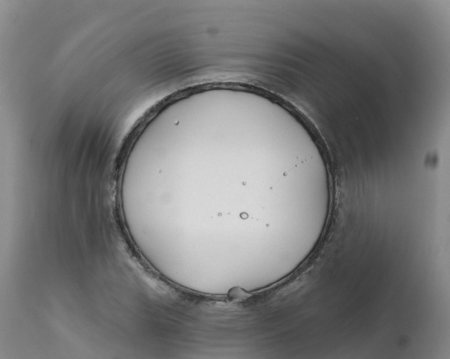 X0000111821119200908131516