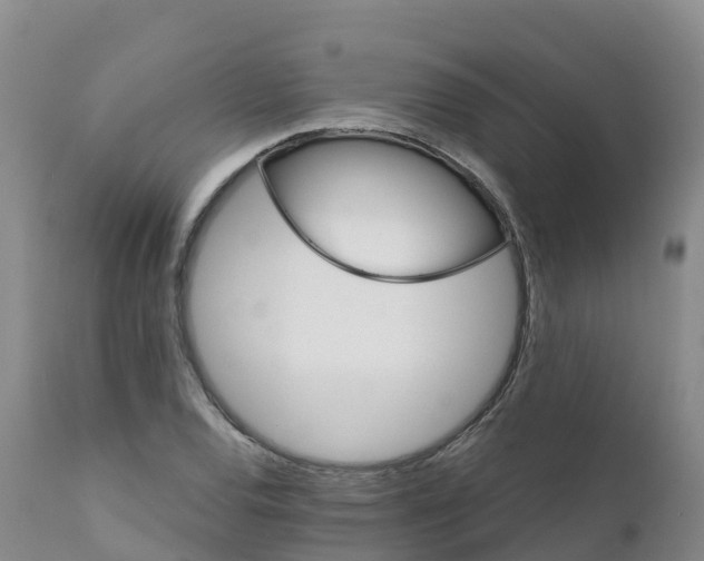 X0000111821120200908131516