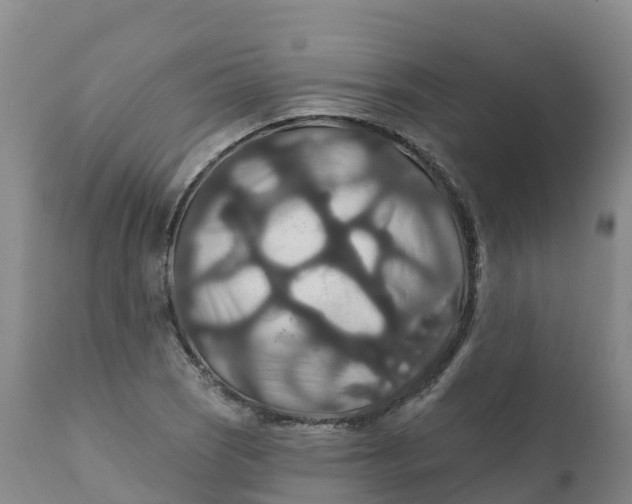 X0000111821121200908131516