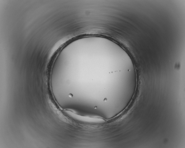 X0000111821122200908131516