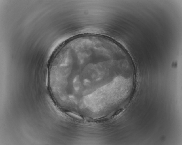 X0000111821123200908131517