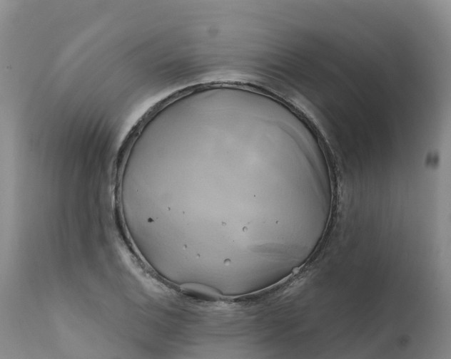 X0000111821124200908131517