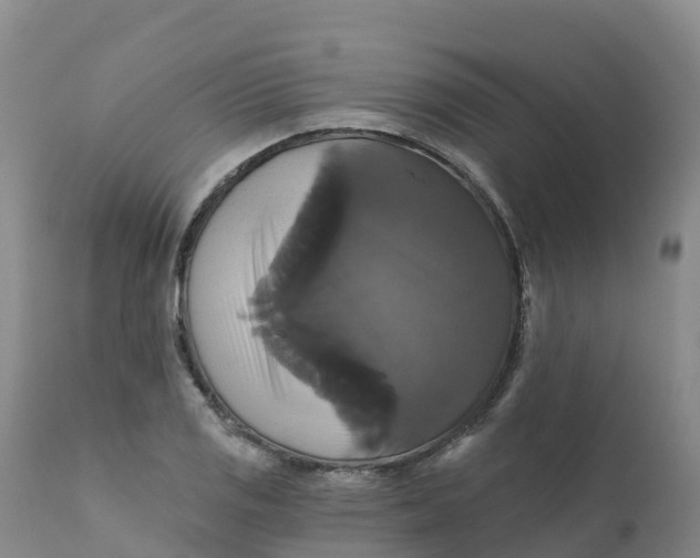 X0000111821125200908131517