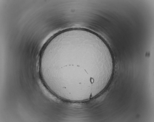 X0000111821126200908131517