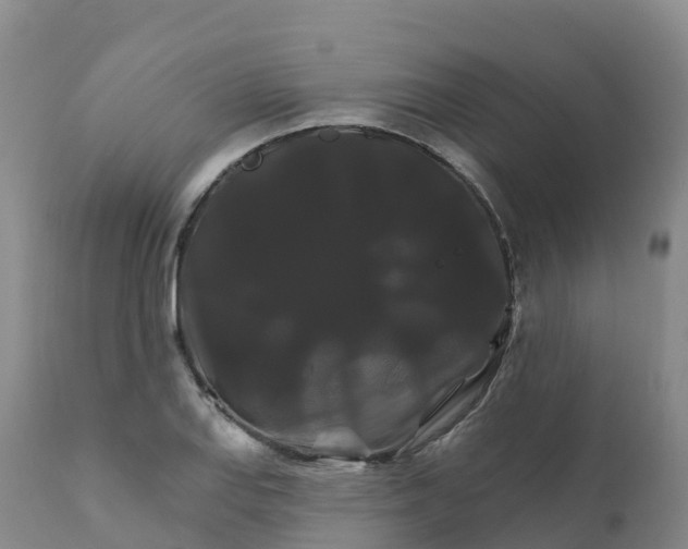 X0000111821127200908131517