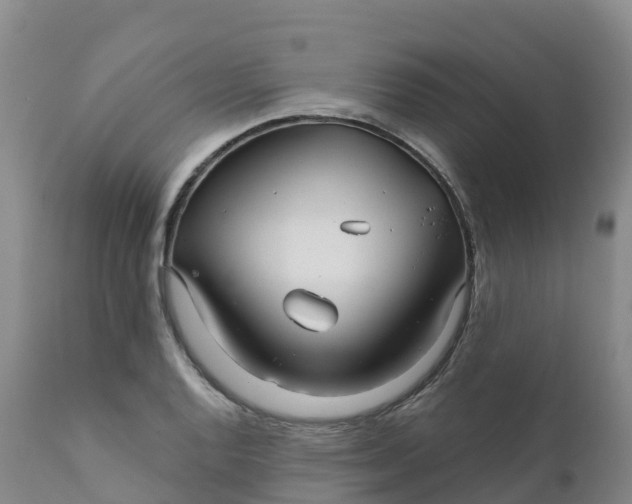 X0000111821128200908131517