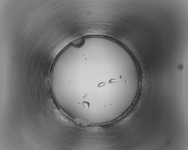 X0000111821129200908131517