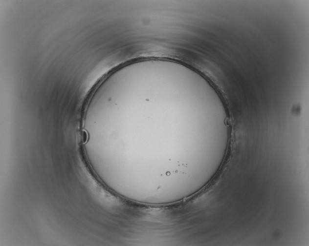 X0000111821130200908131517