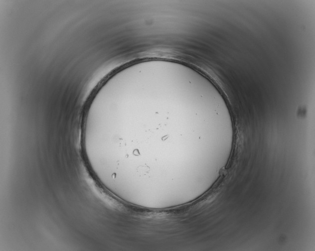 X0000111821131200908131517