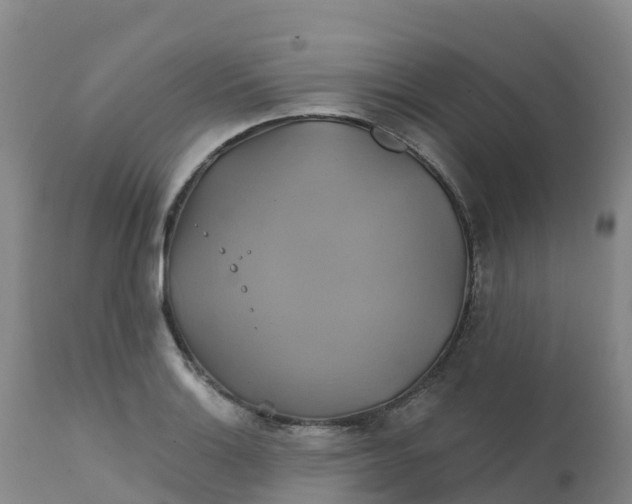 X0000111821132200908131517