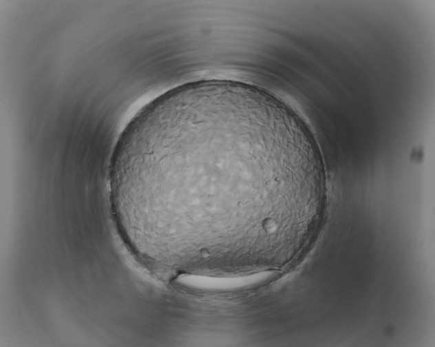 X0000111821133200908131517