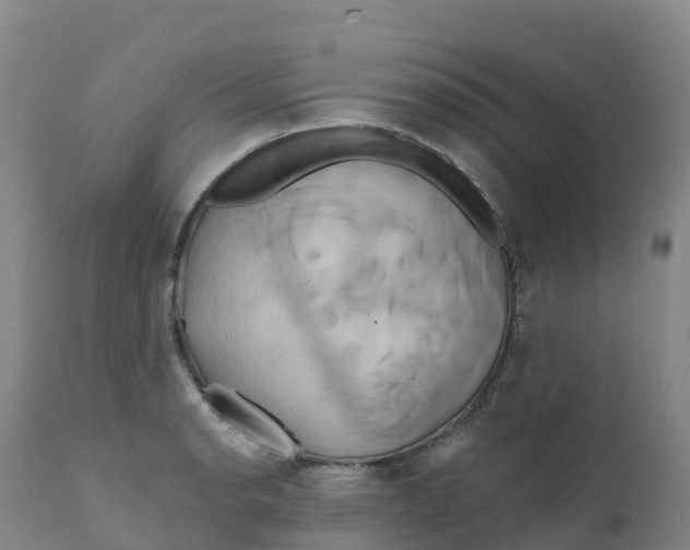 X0000111821134200908131517