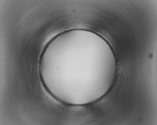 X0000111821135200908131517